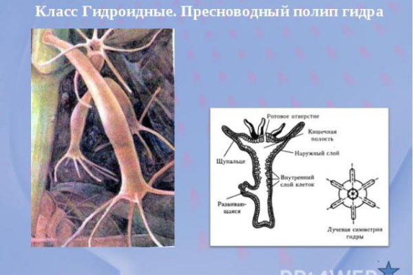 Как пополнить баланс на кракене